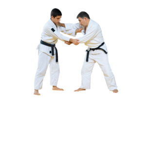 Judo-school-veendam