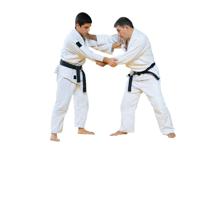 Judo-school-veendam