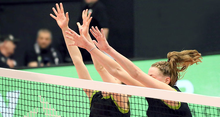 Volleybal vereniging LIS Wildervank