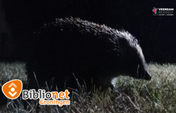 mysterie van de nacht, biblionet groningen