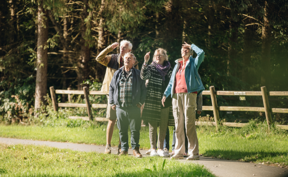 wandeling veendam